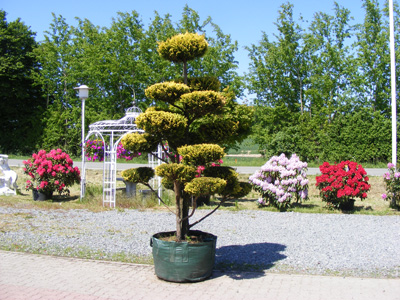 Gartenland Schwedeneck